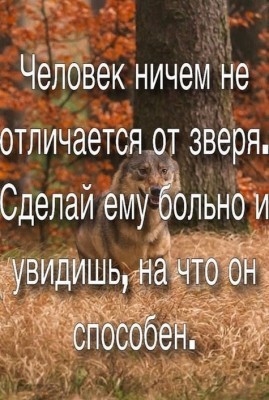 gplus1275365900052381797.jpg