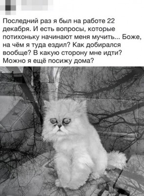 12507955.jpg