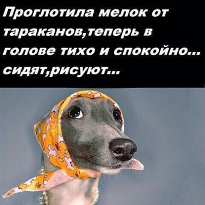 2d8e3968f497a947051ec43ee8af28a8.jpg