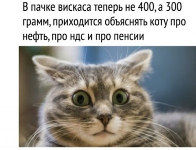image (8).jpg