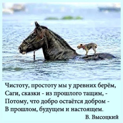 FB_IMG_1549604358700.jpg