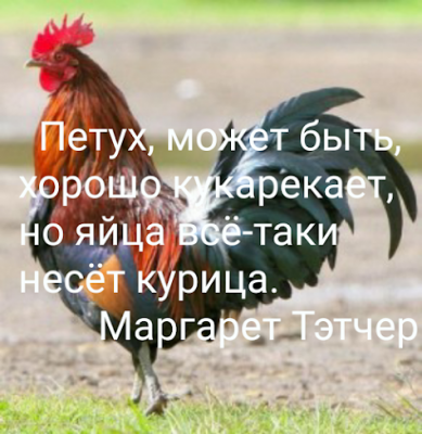 gplus-691099343.png
