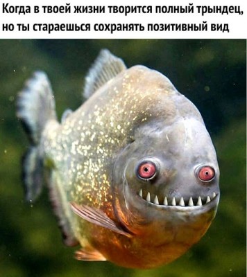p5zRiL7wrfg.jpg