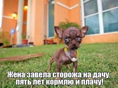 3YEZNL1FK0g.jpg