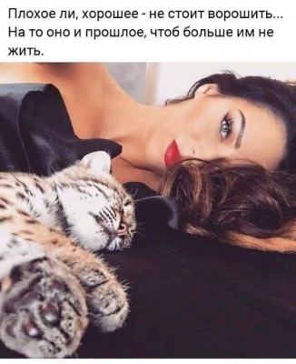 gplus7250480222800500006.jpg