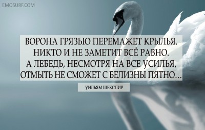 13 (1).jpg