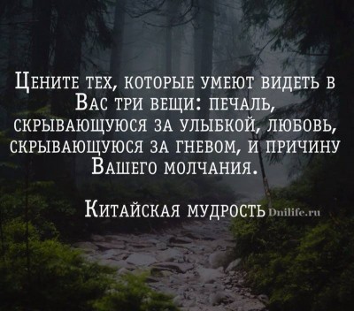 12096499.jpg