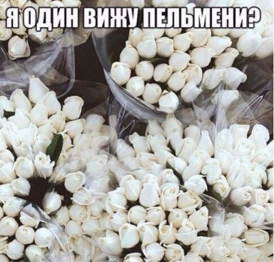 56913258_334812207221217_8683727705557958656_n.jpg
