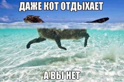 kartinki-pro-more-11.jpg