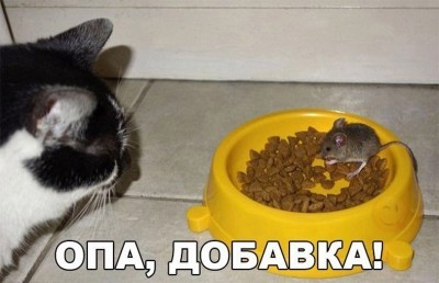 q3E9HWEAb-A.jpg