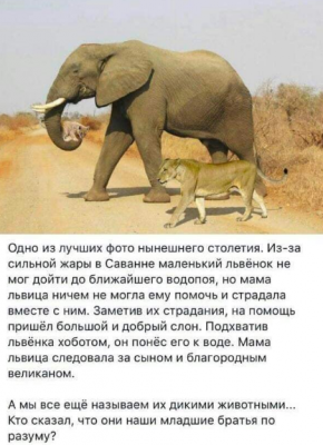 Невероятно, но факт.png