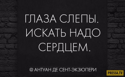 1478283790_-ytehw25y60.jpg
