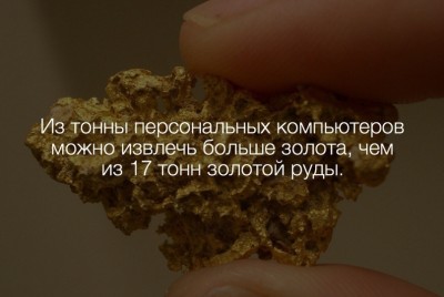 Интересные факты2.jpg