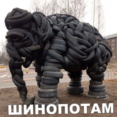 60573764_351513475551090_6353714226720145408_n.jpg