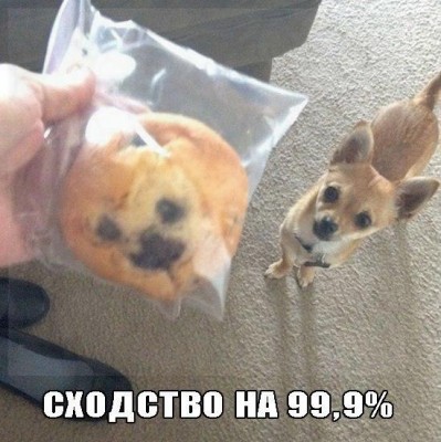 XfLJihSxIZA.jpg