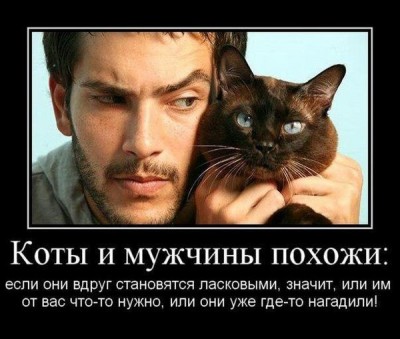ZsyJpAmtyrc.jpg