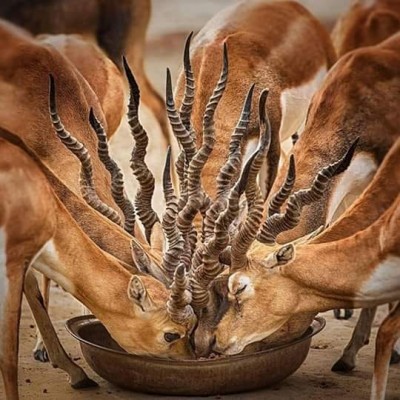 67276019_1626969264113526_7009835833406521344_n.jpg