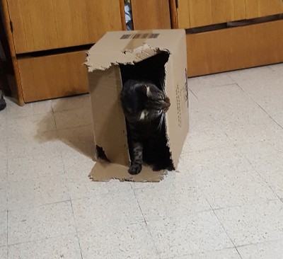 20191020_221156 copy.jpg
