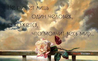 5c78390476ca5.jpg