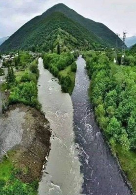 Две реки, которые встречаются, не смешиваясь. Грузия.jpg