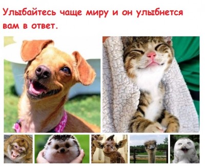 форум.jpg
