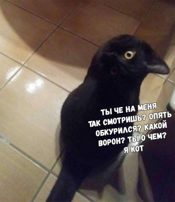 seMTLjZD7Hc.jpg