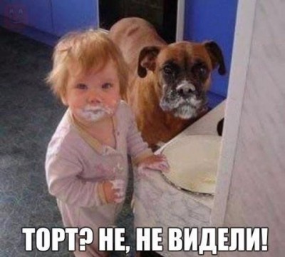 9456e9080376c69eac1e3c56a006477b.jpg