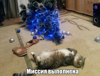 1450899601_podborka_dnevnaya_01.jpg