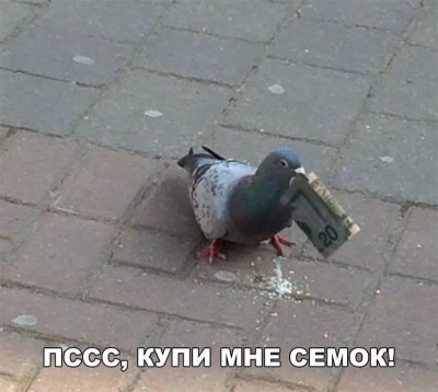 77324315_2930829086950816_5906577813032402944_n.jpg