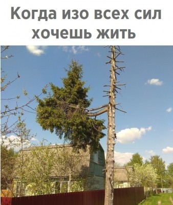 uuYOHgcDbz8.jpg