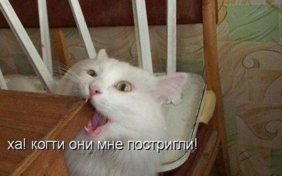Sbd0xml0gh8.jpg
