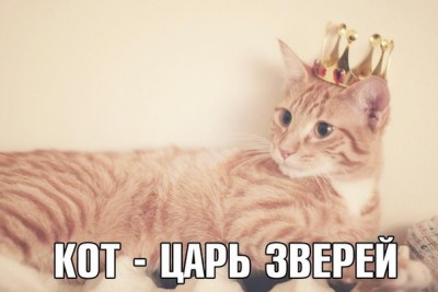 7k0qzxsF2K4.jpg
