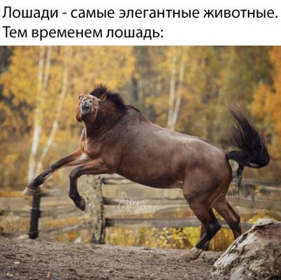 1568311327_7312.jpg