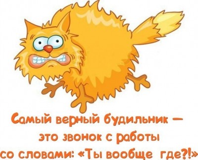 6T_ungwmyZI.jpg