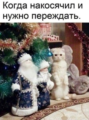 h-927.jpg
