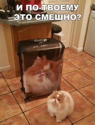 vxAEb9mMTY0.jpg