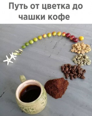 87067469_10156698750931441_7734096499243483136_o.jpg