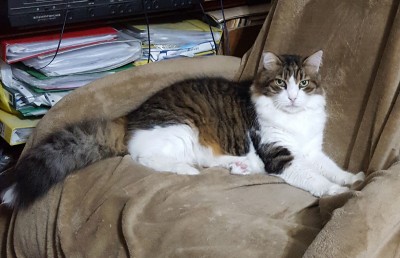 20191104_164117 a.jpg