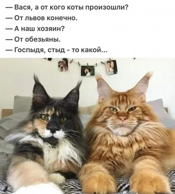 90597427_238588410867878_6493604163409149952_o.jpg