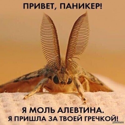 u3q0YZUZKJk.jpg
