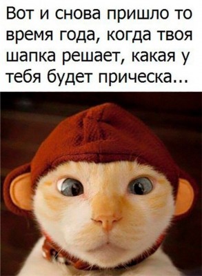 MEFrzXjzzAg.jpg