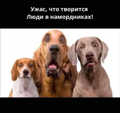 90794844_2790522687664036_4008251445575942144_n.jpg