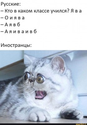 91094669_2930127330358927_5961501373777313792_o.jpg