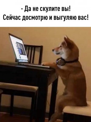 EJyc7MFoNqk.jpg