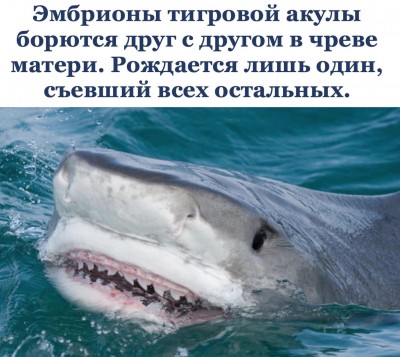 7Bj35hNZr_Q.jpg