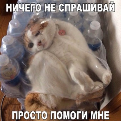 TKC__zFs5-U.jpg
