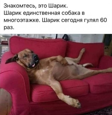 IMG-9c708c5db22a60f997ee5ae5503e520b-V.jpg