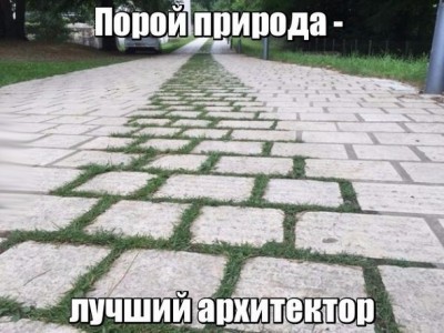 f99YcEJWfzE.jpg