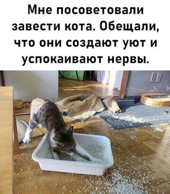 lZKvakQn4go.jpg