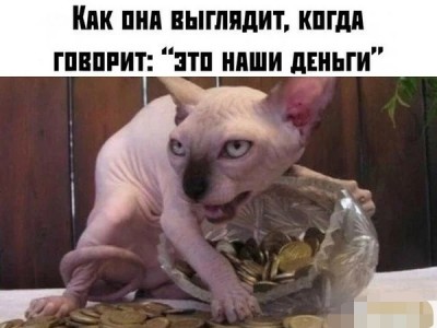 G58aRlXOzpU.jpg